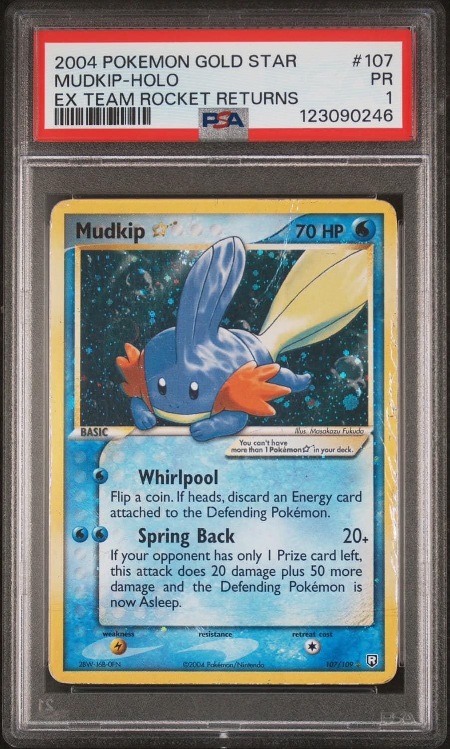 Mudkip