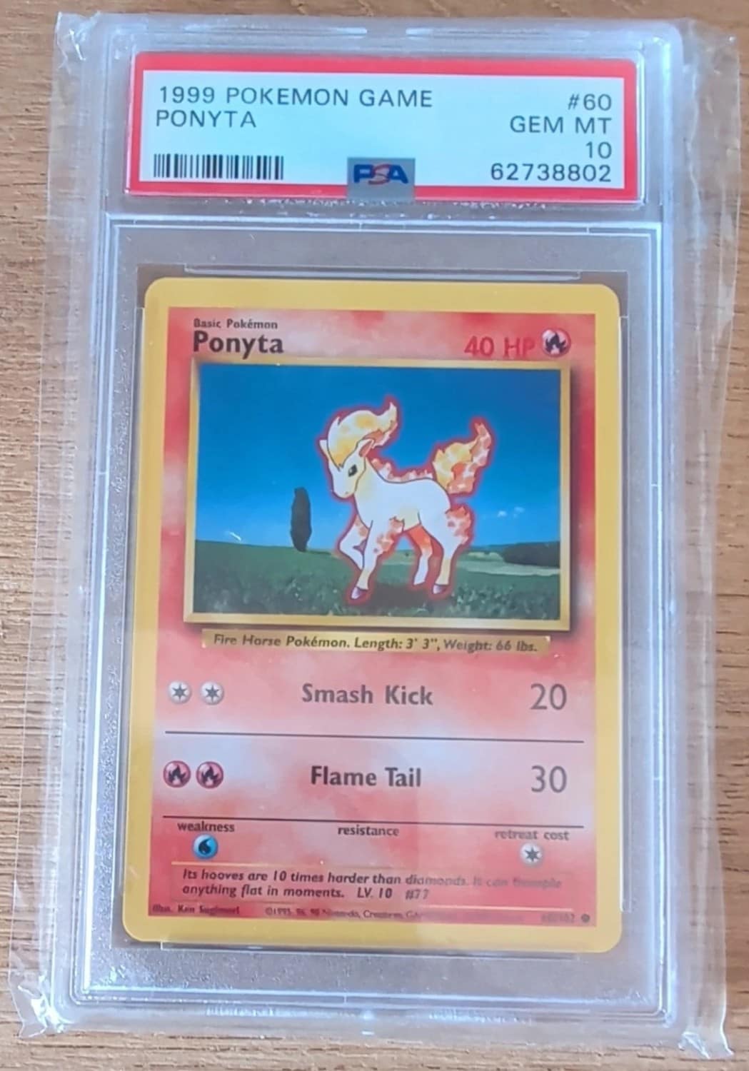 Ponyta