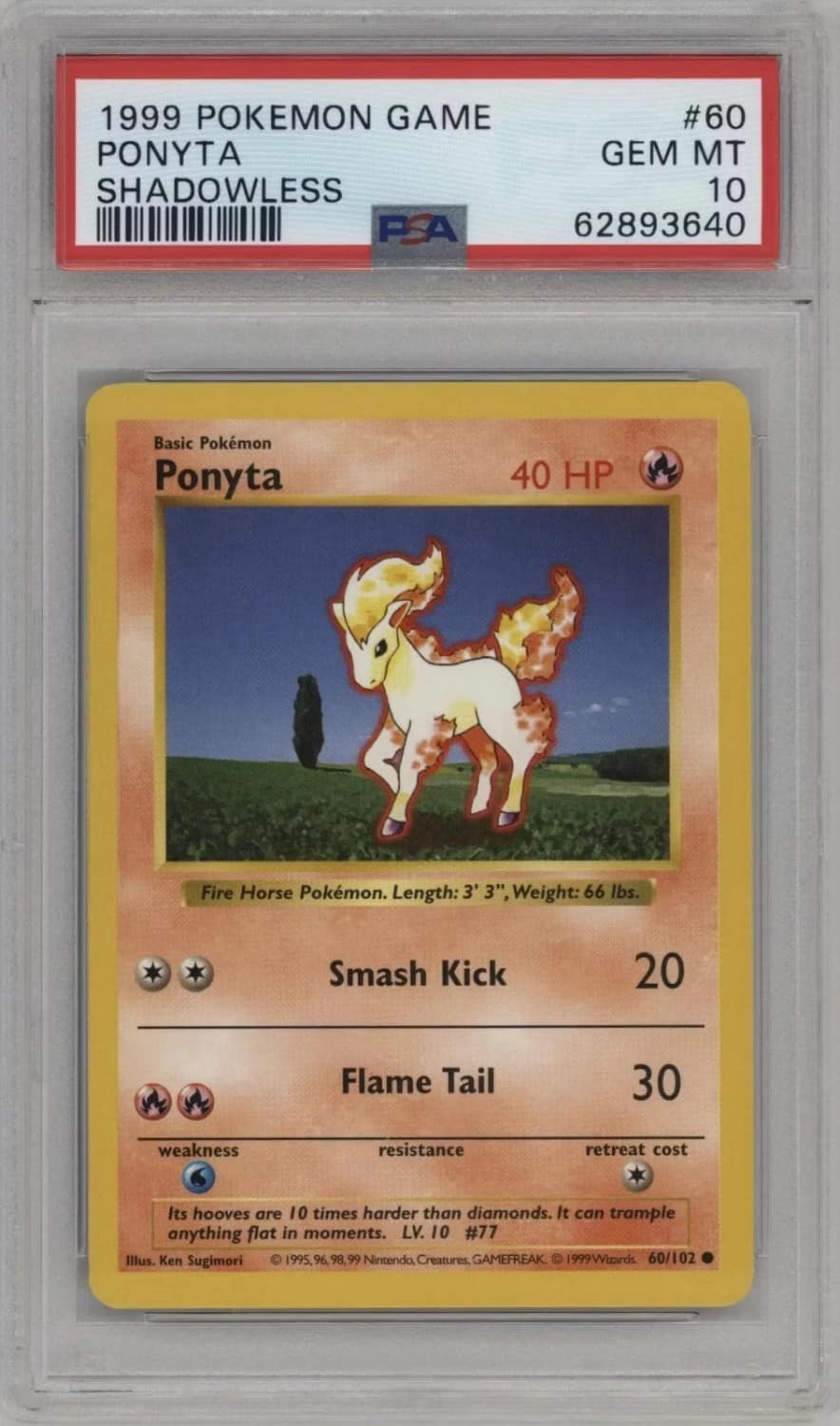 Ponyta