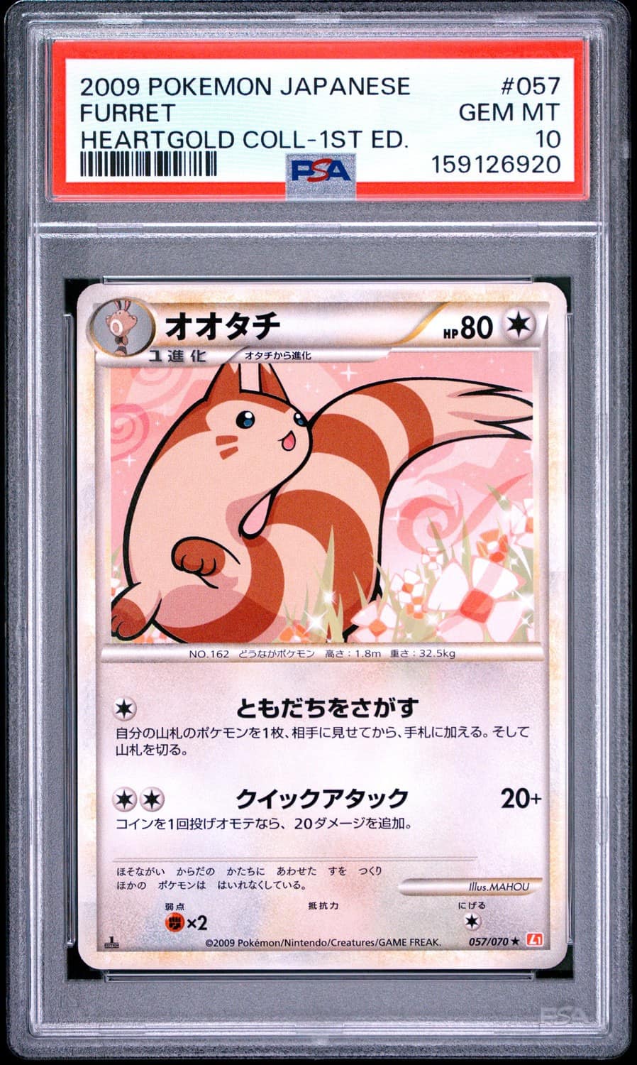 Furret