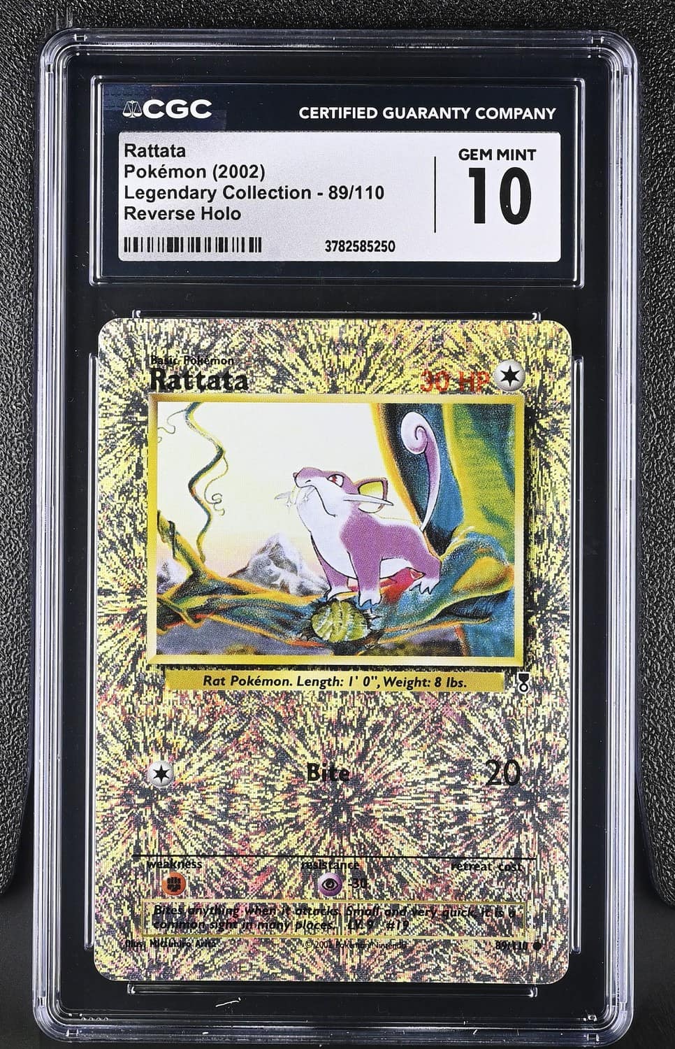 Rattata