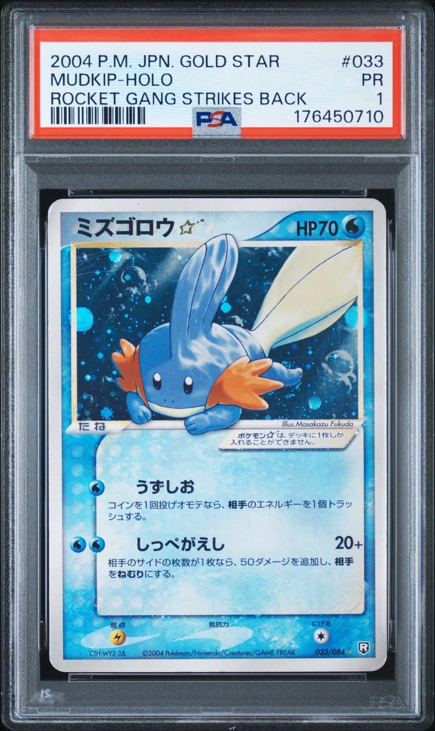 Mudkip