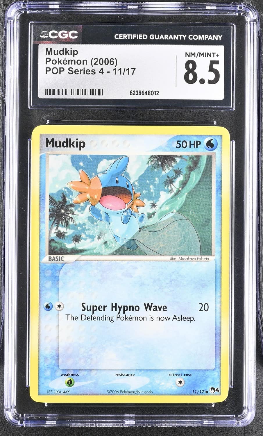 Mudkip