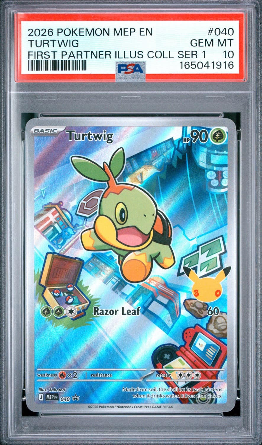 Turtwig