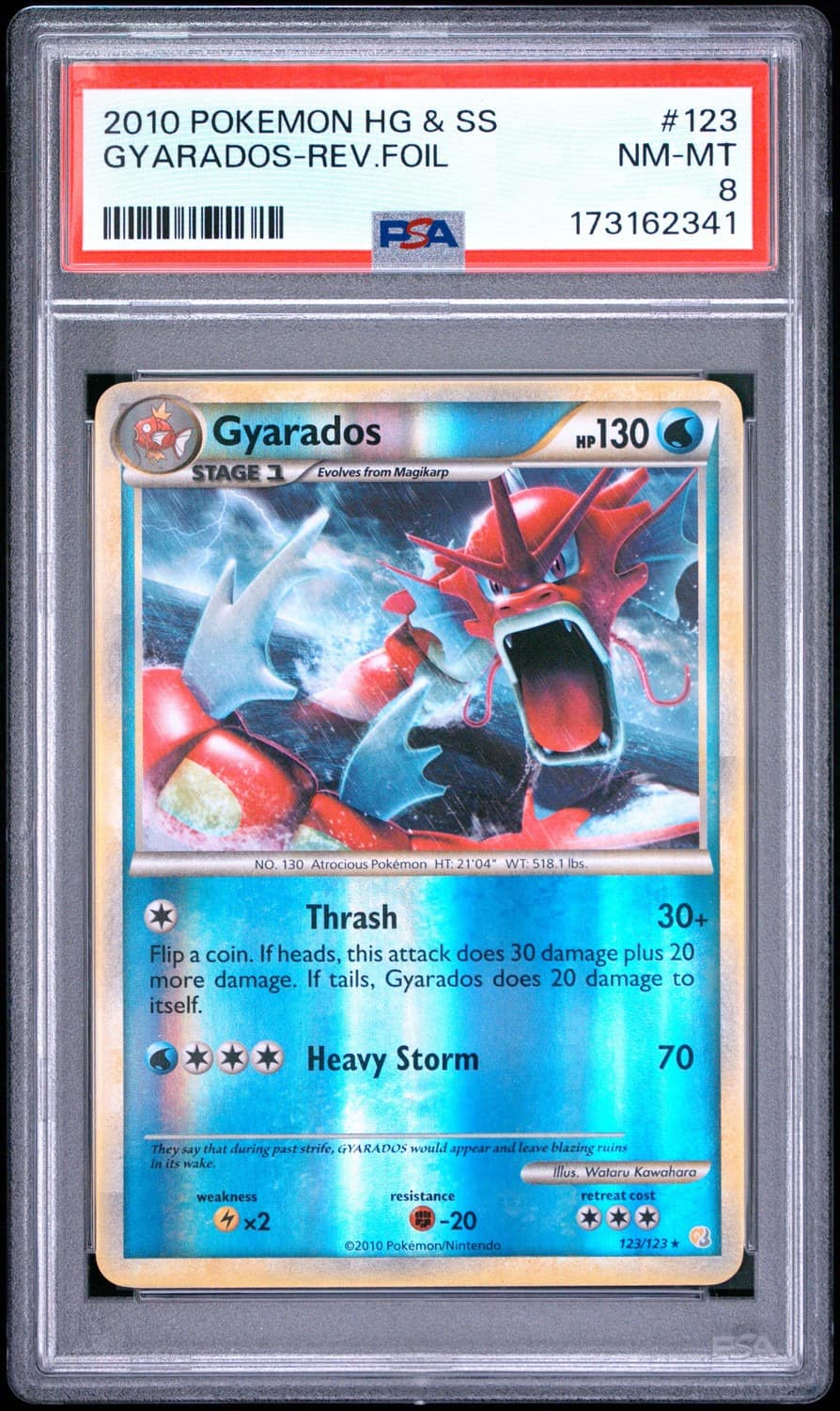 Gyarados