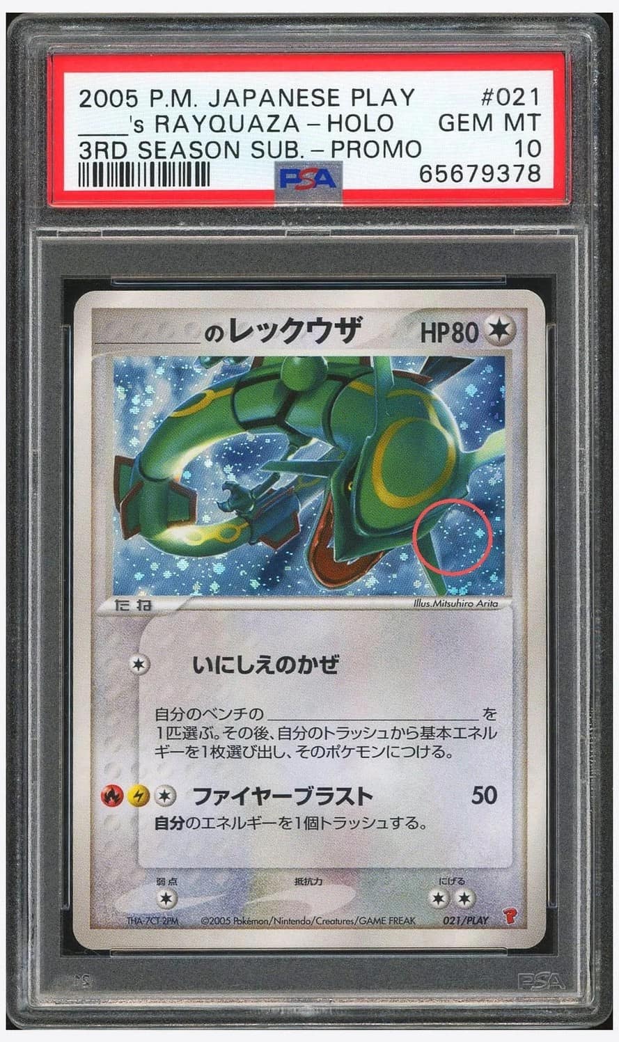 _____'S Rayquaza-Holo