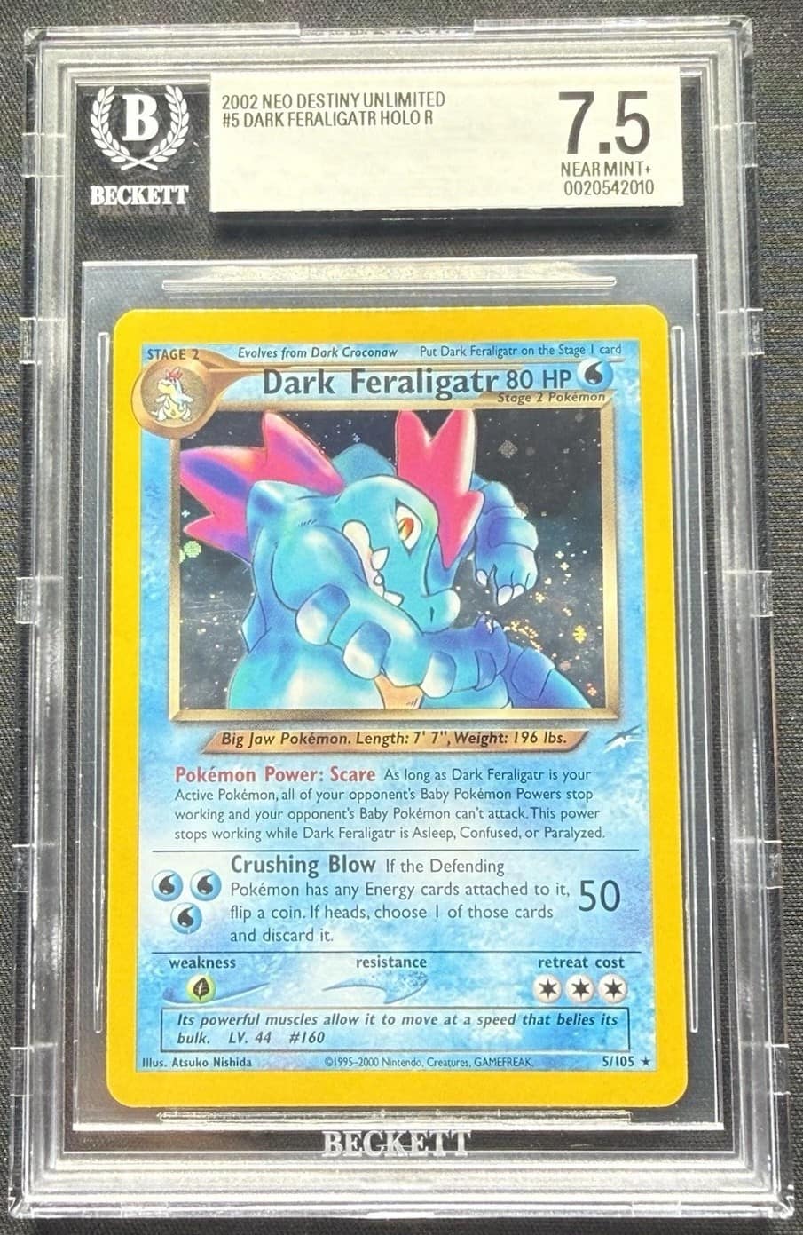 Dark Feraligatr