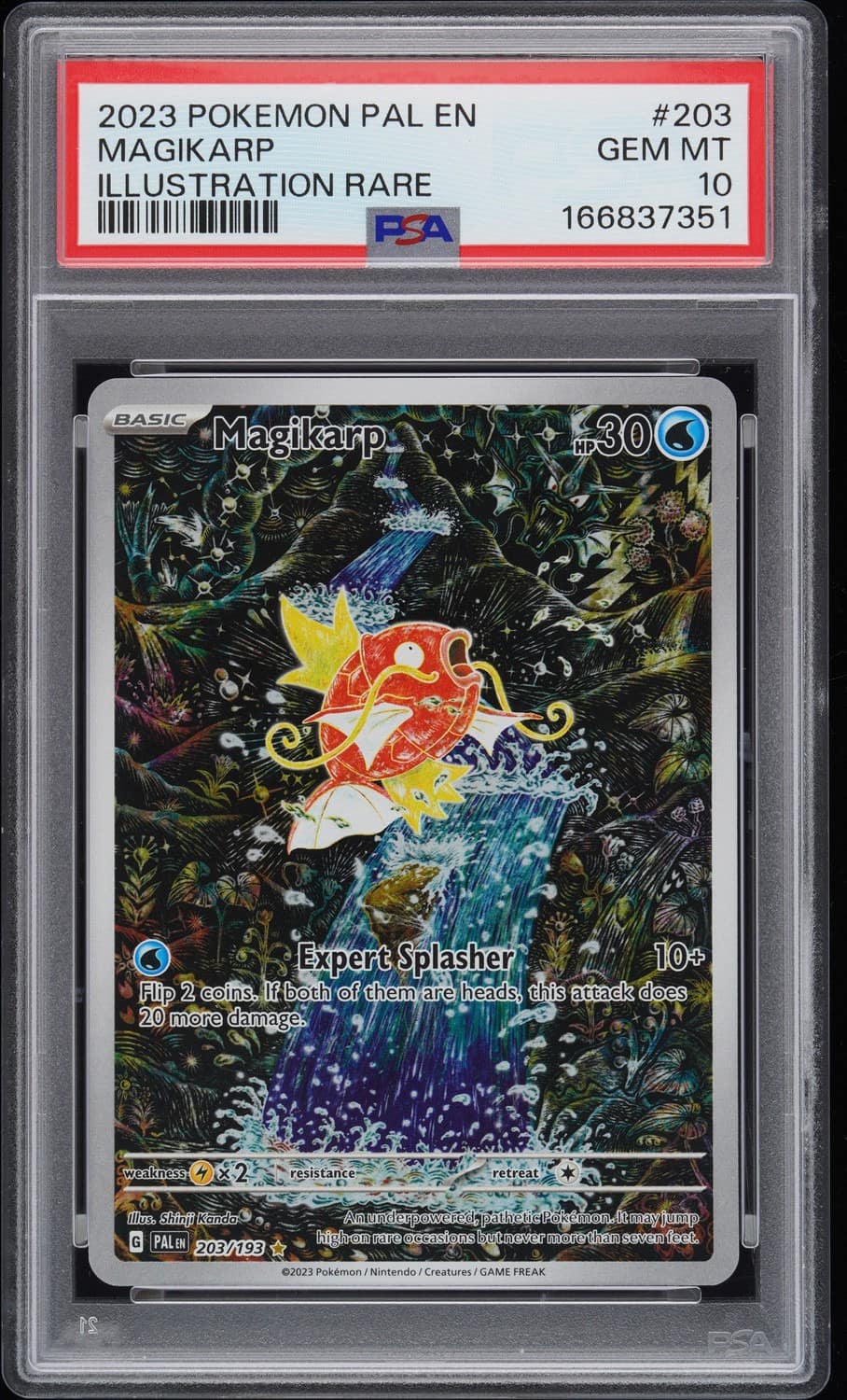 Magikarp