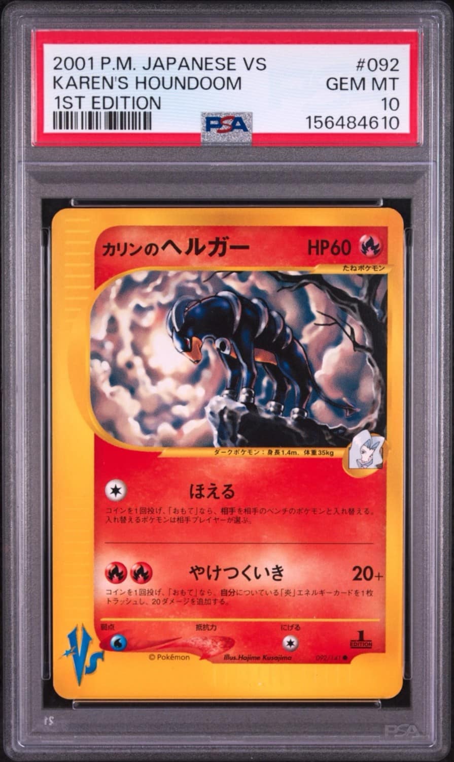 Karen'S Houndoom