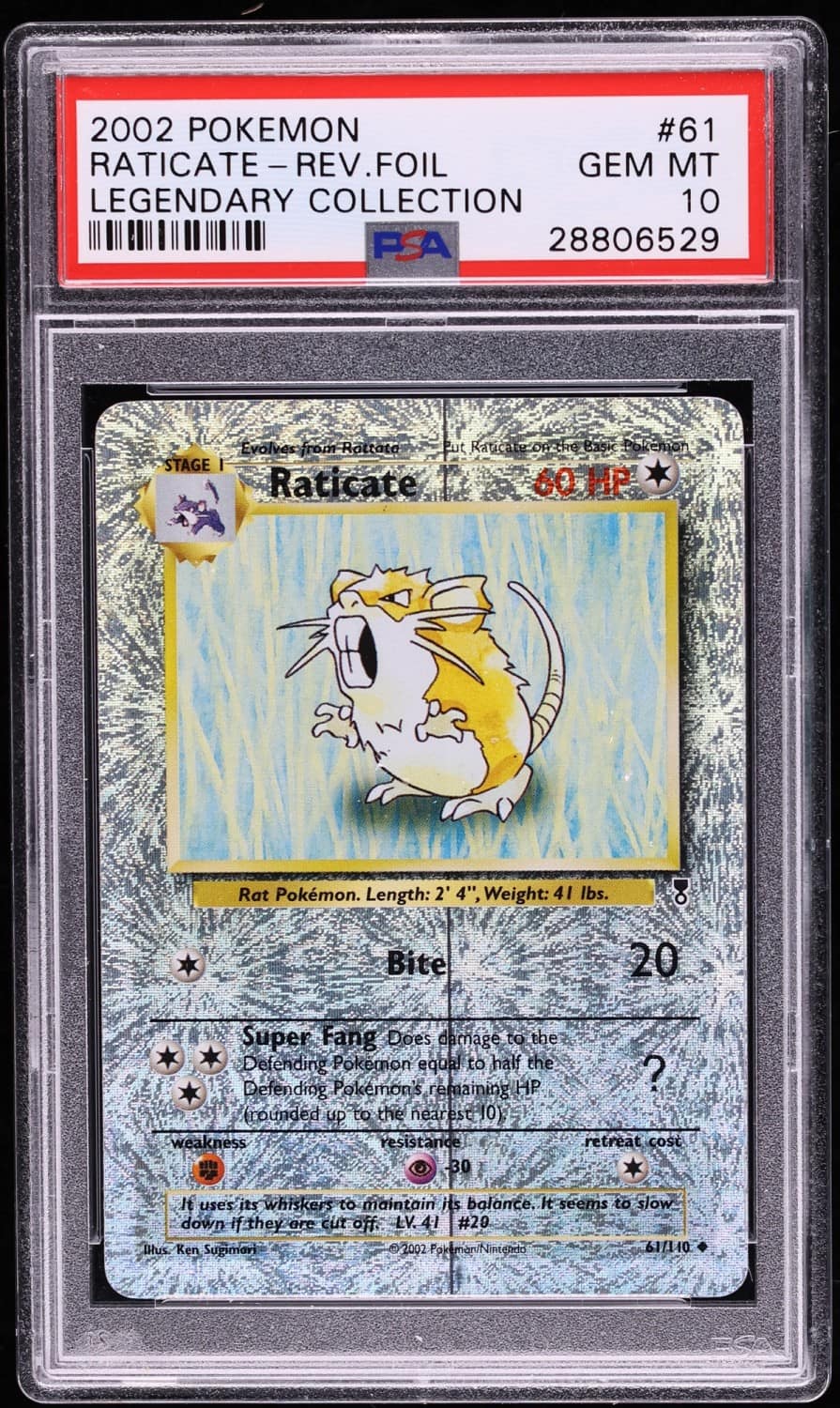 Raticate