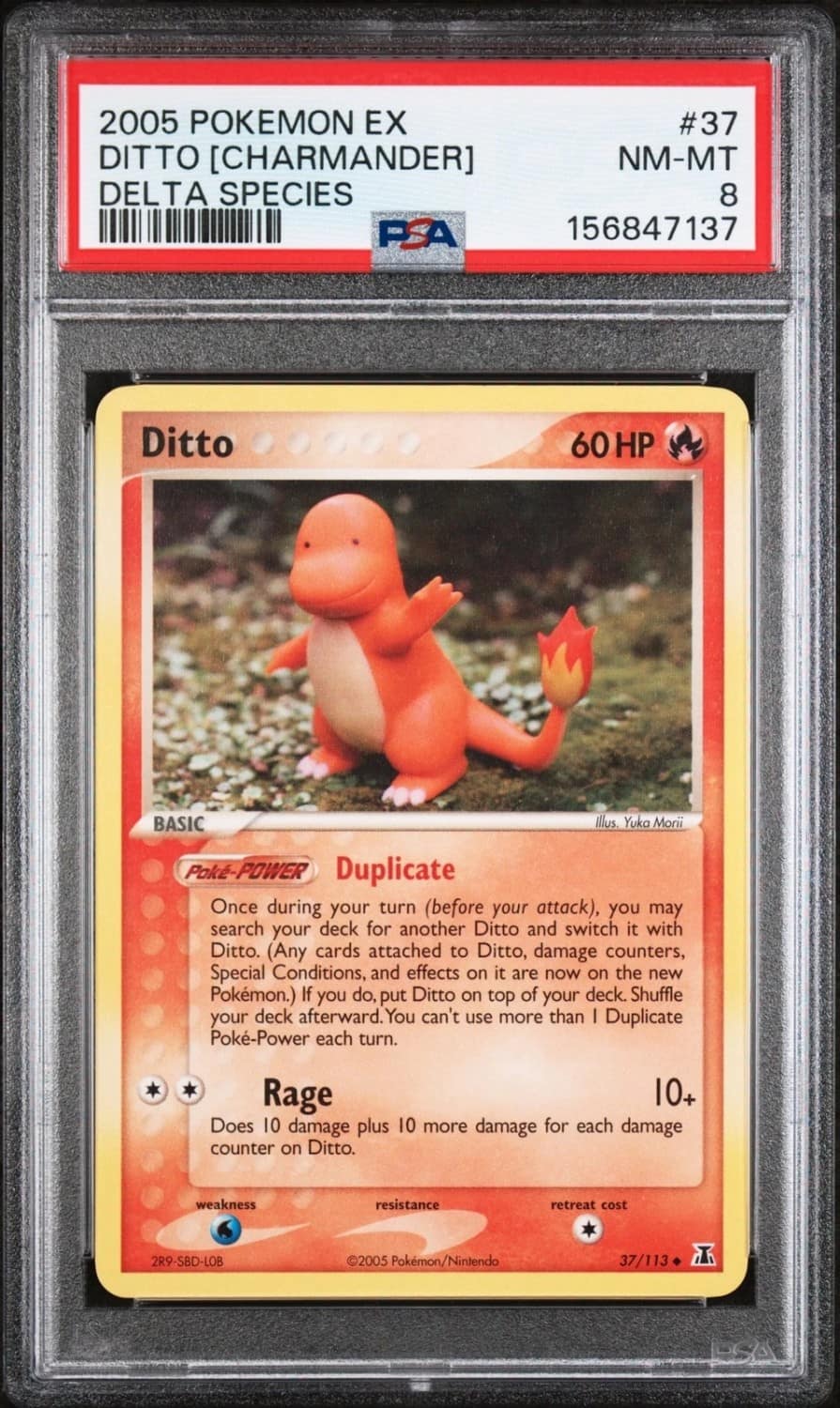 Ditto [charmander]