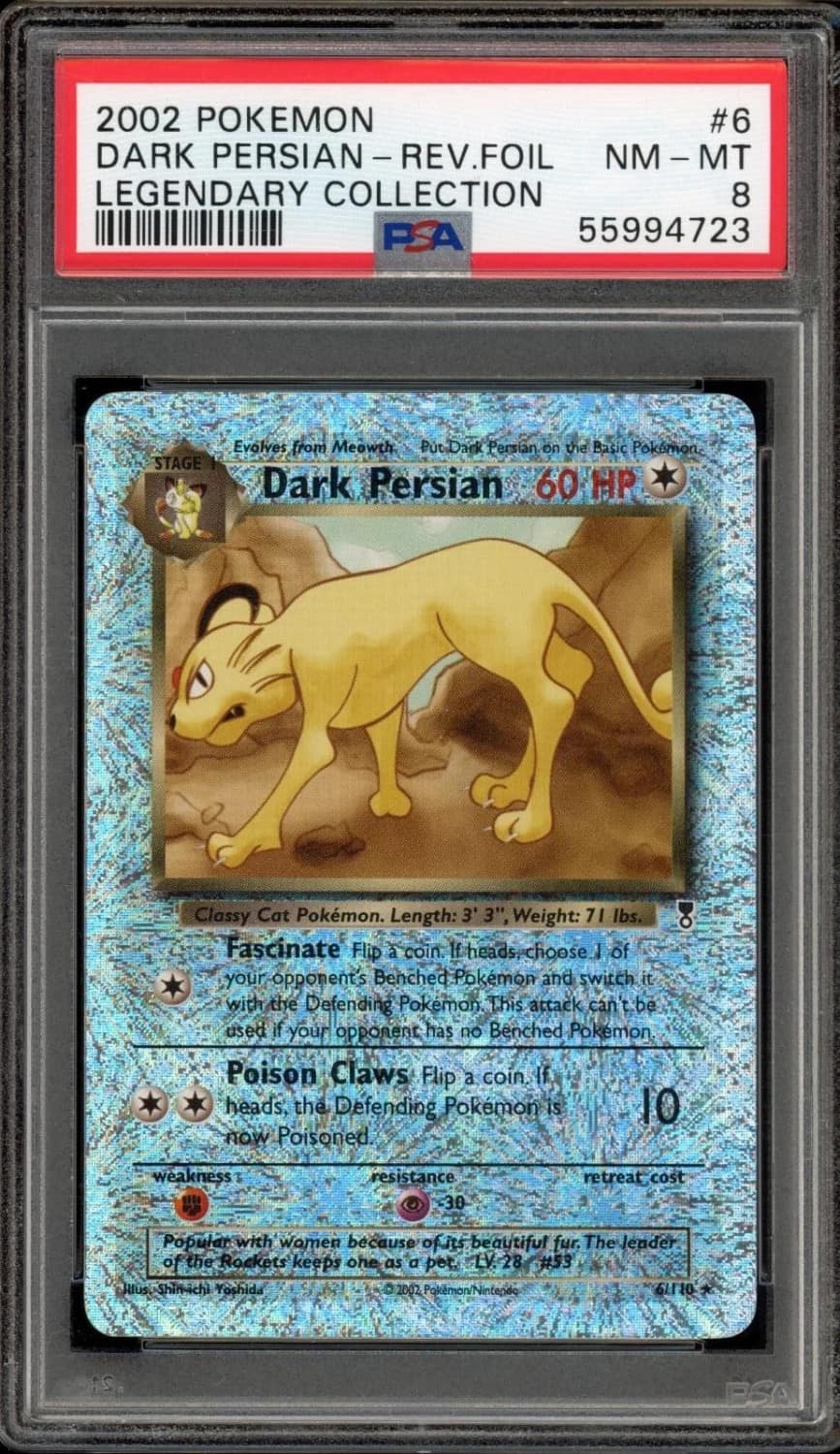 Dark Persian
