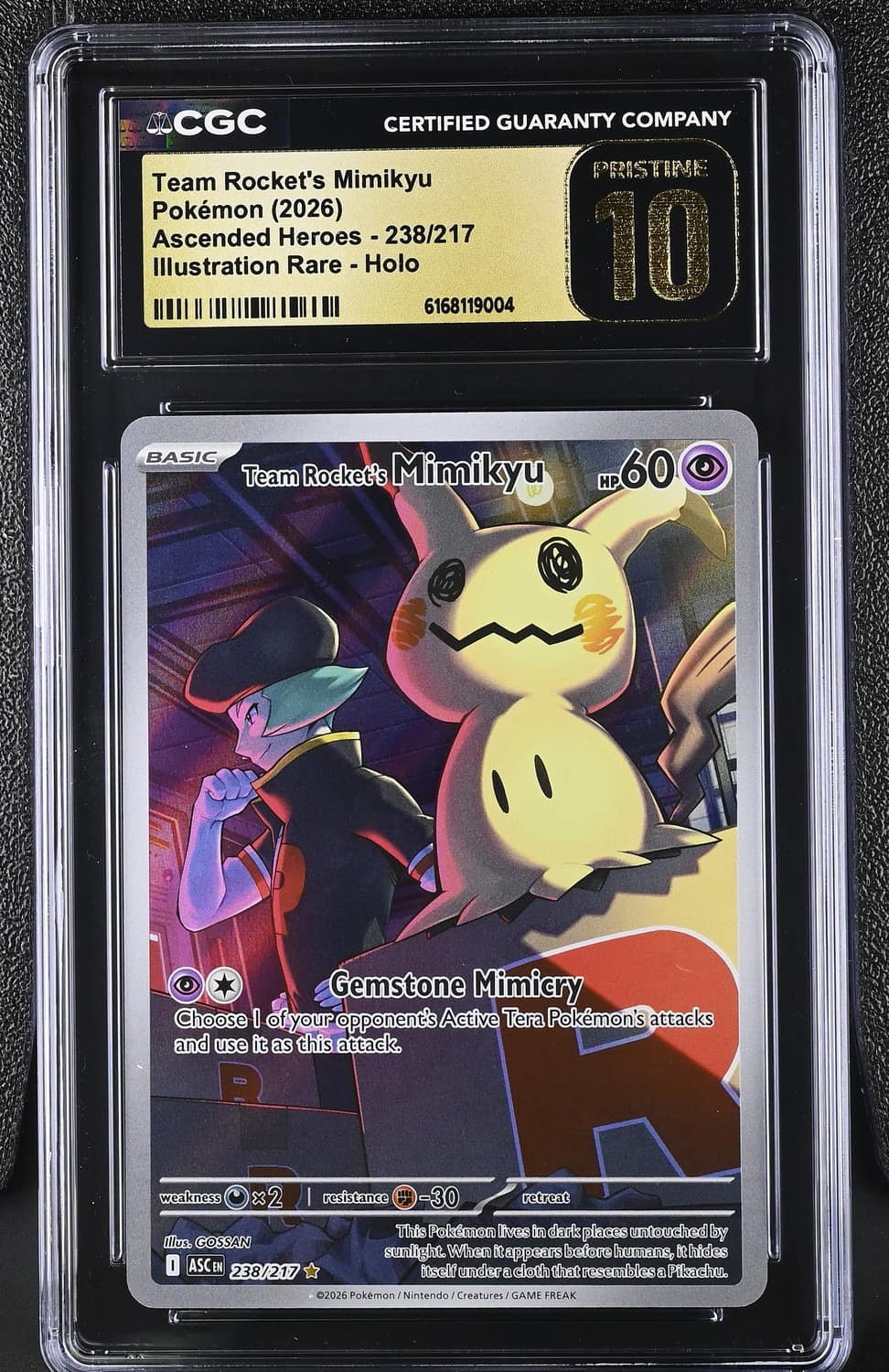 Team Rocket'S Mimikyu