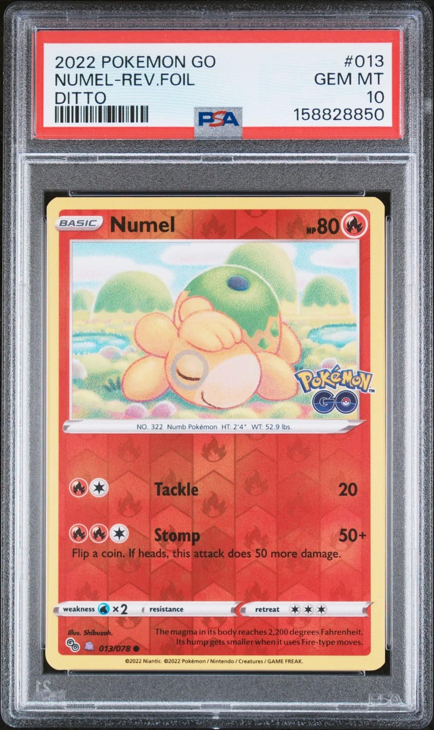 Numel (ditto)