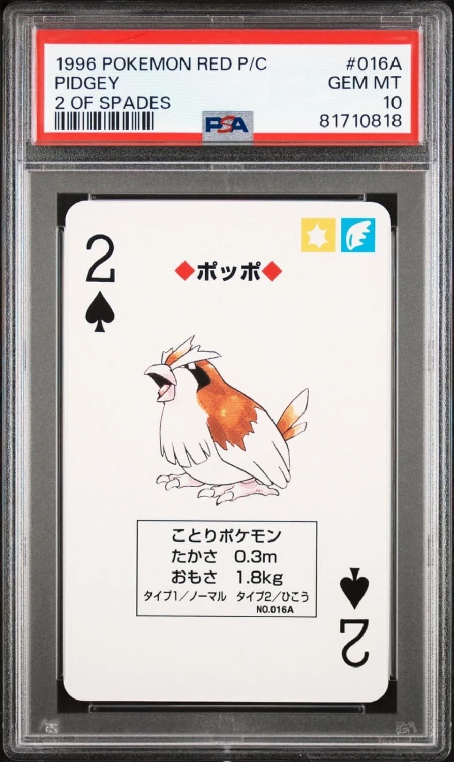 Pidgey
