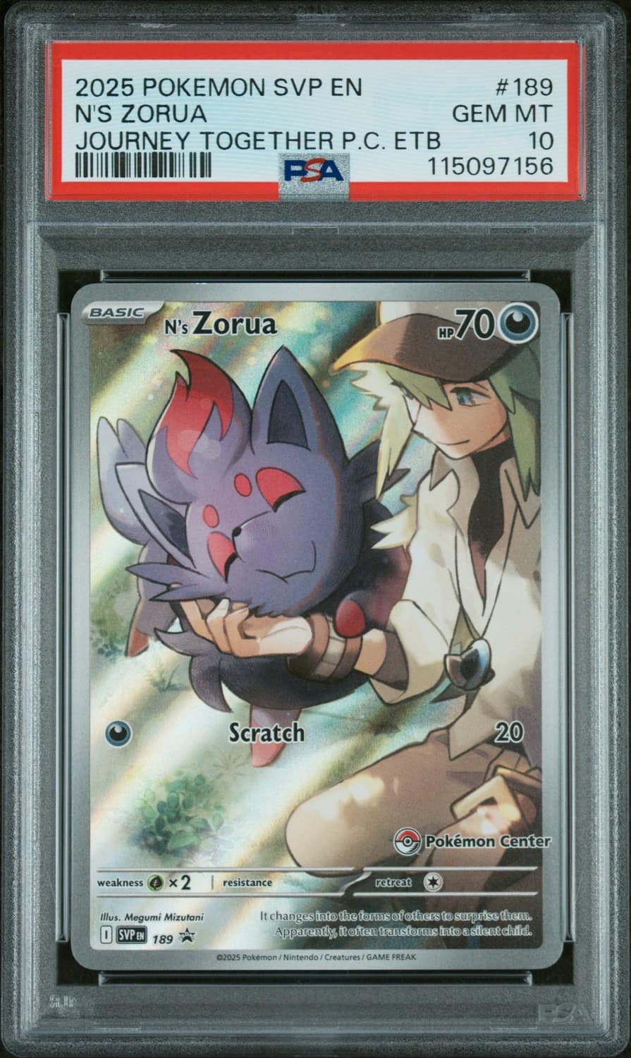 N'S Zorua