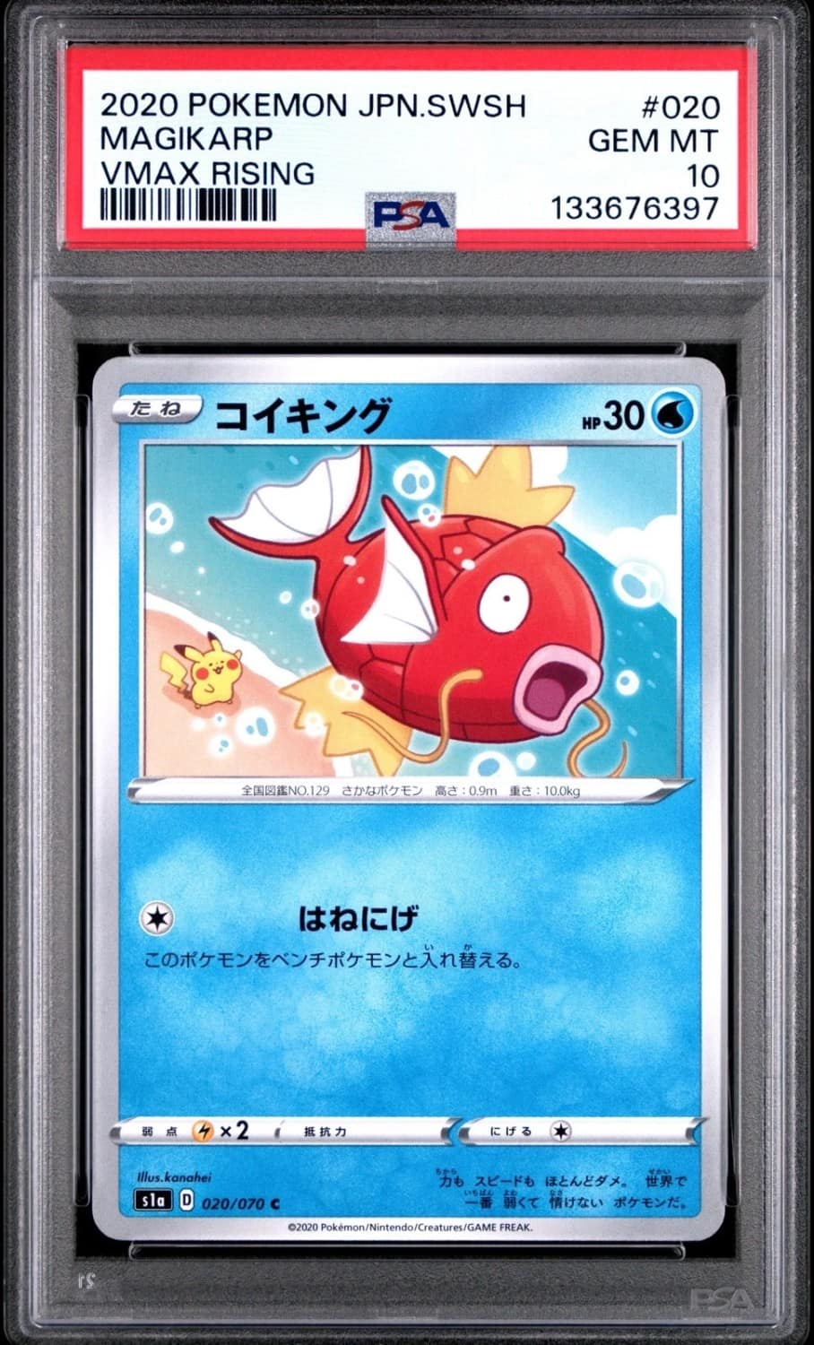 Magikarp