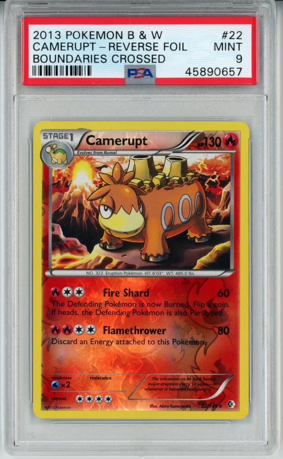 Camerupt
