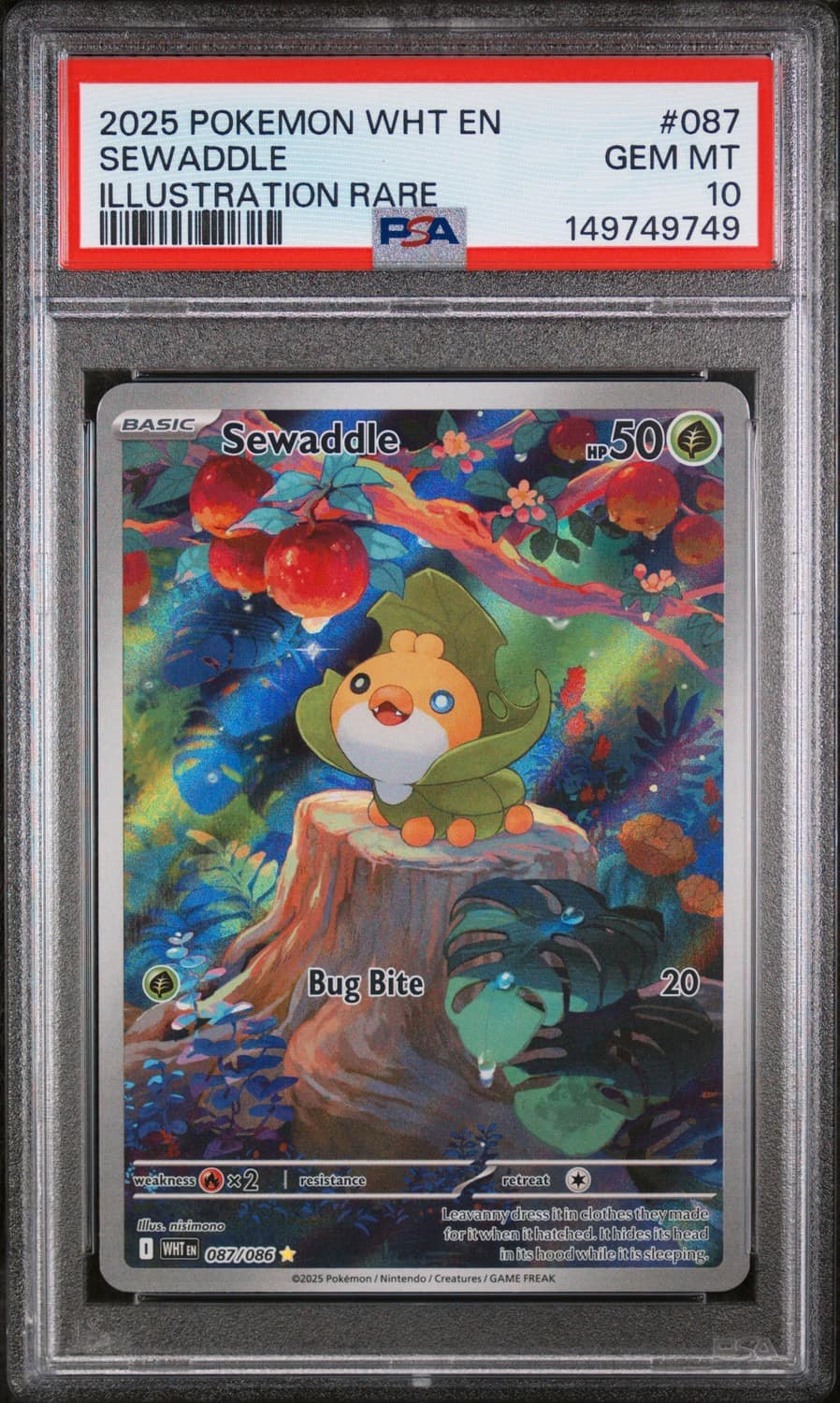 Sewaddle