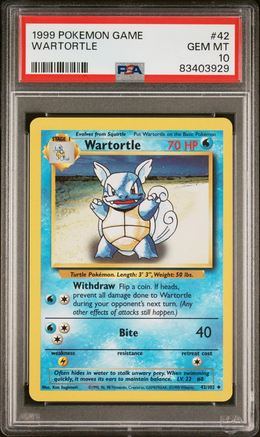 Wartortle
