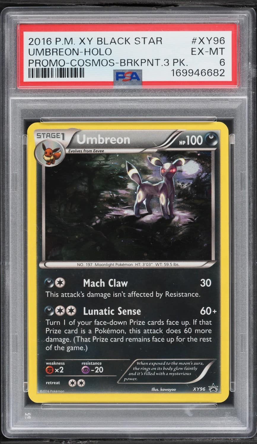 Umbreon