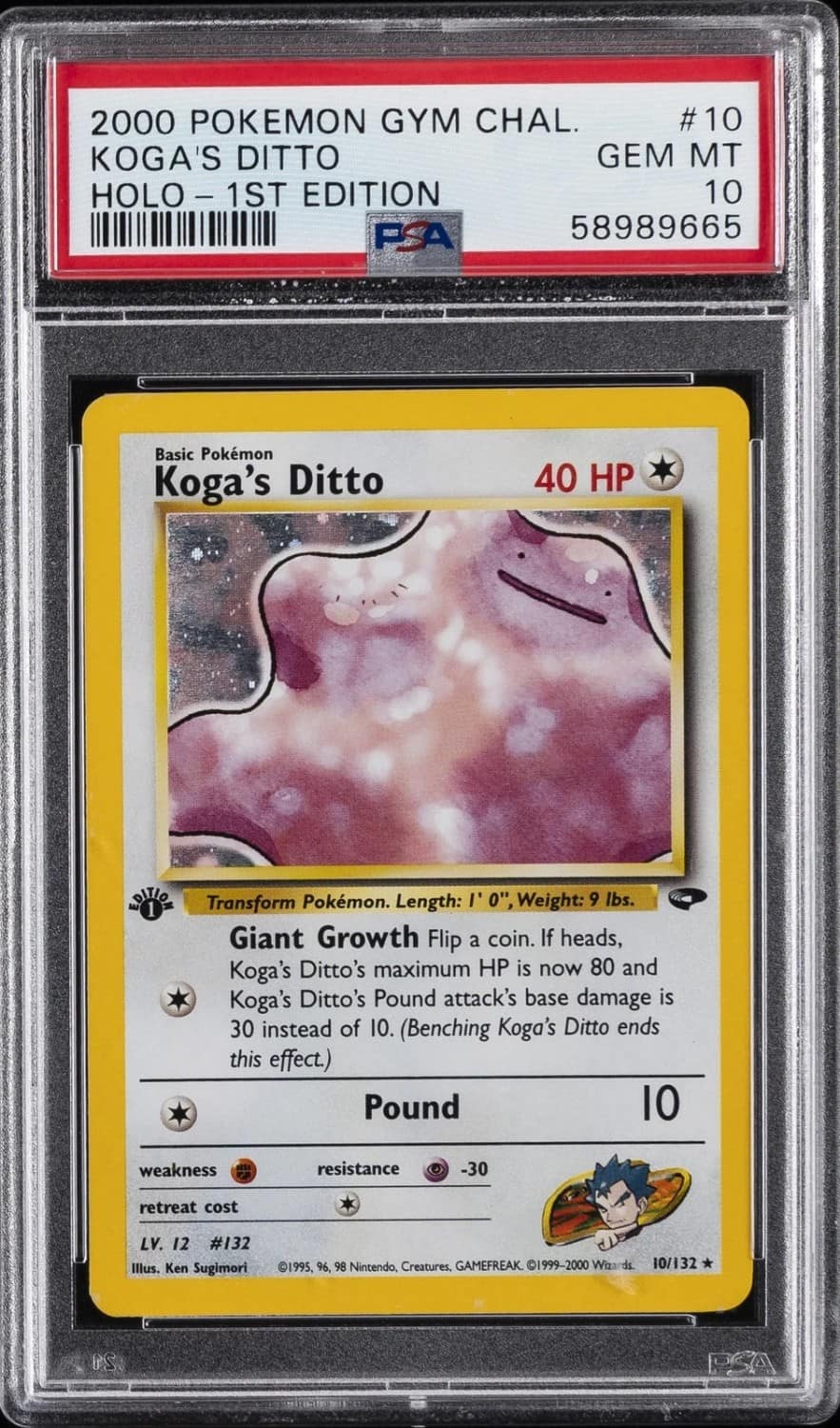 Koga'S Ditto