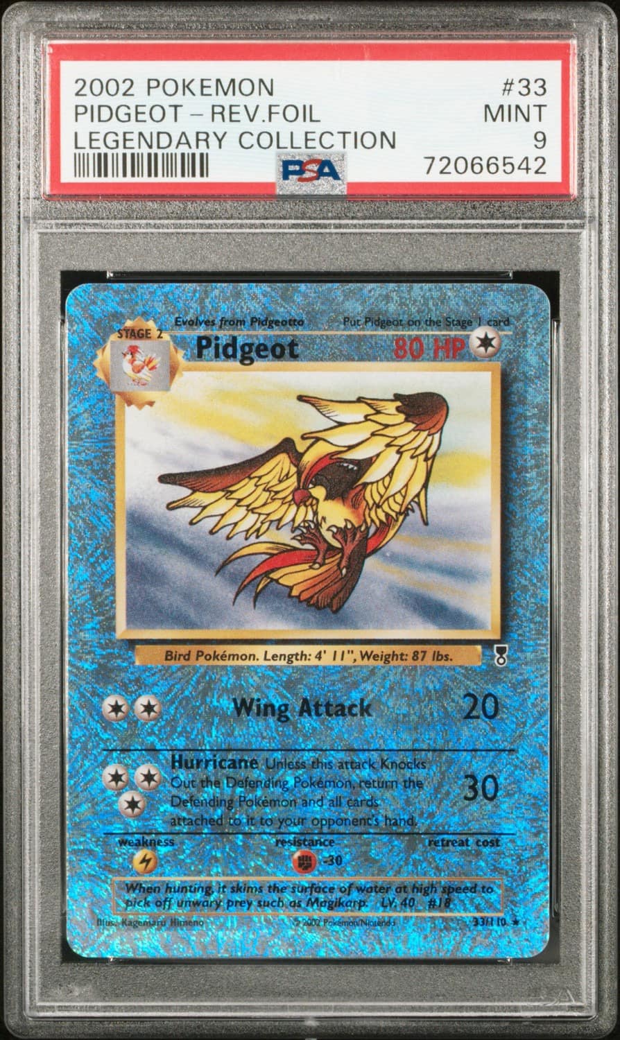 Pidgeot