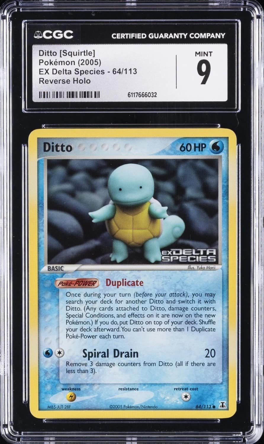 Ditto [squirtle]