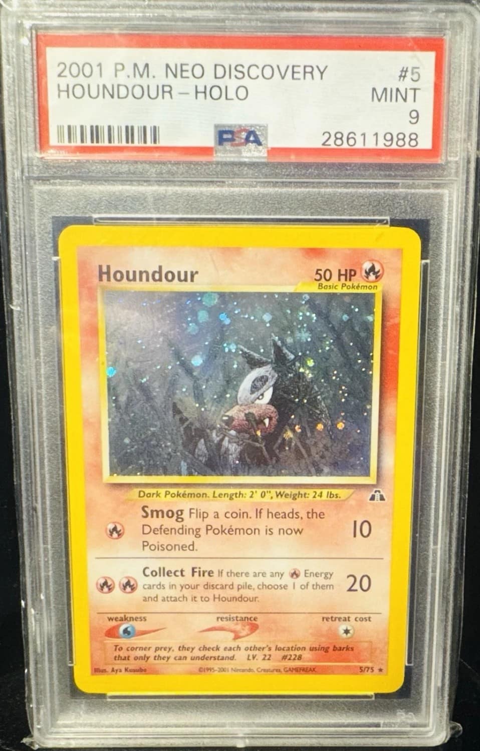Houndour