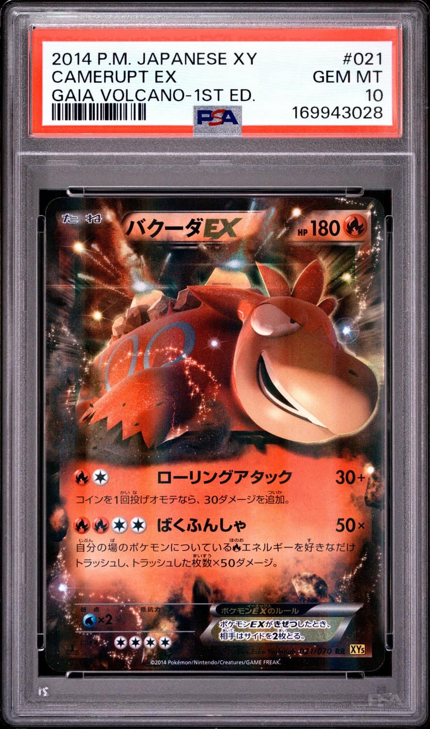 Camerupt Ex