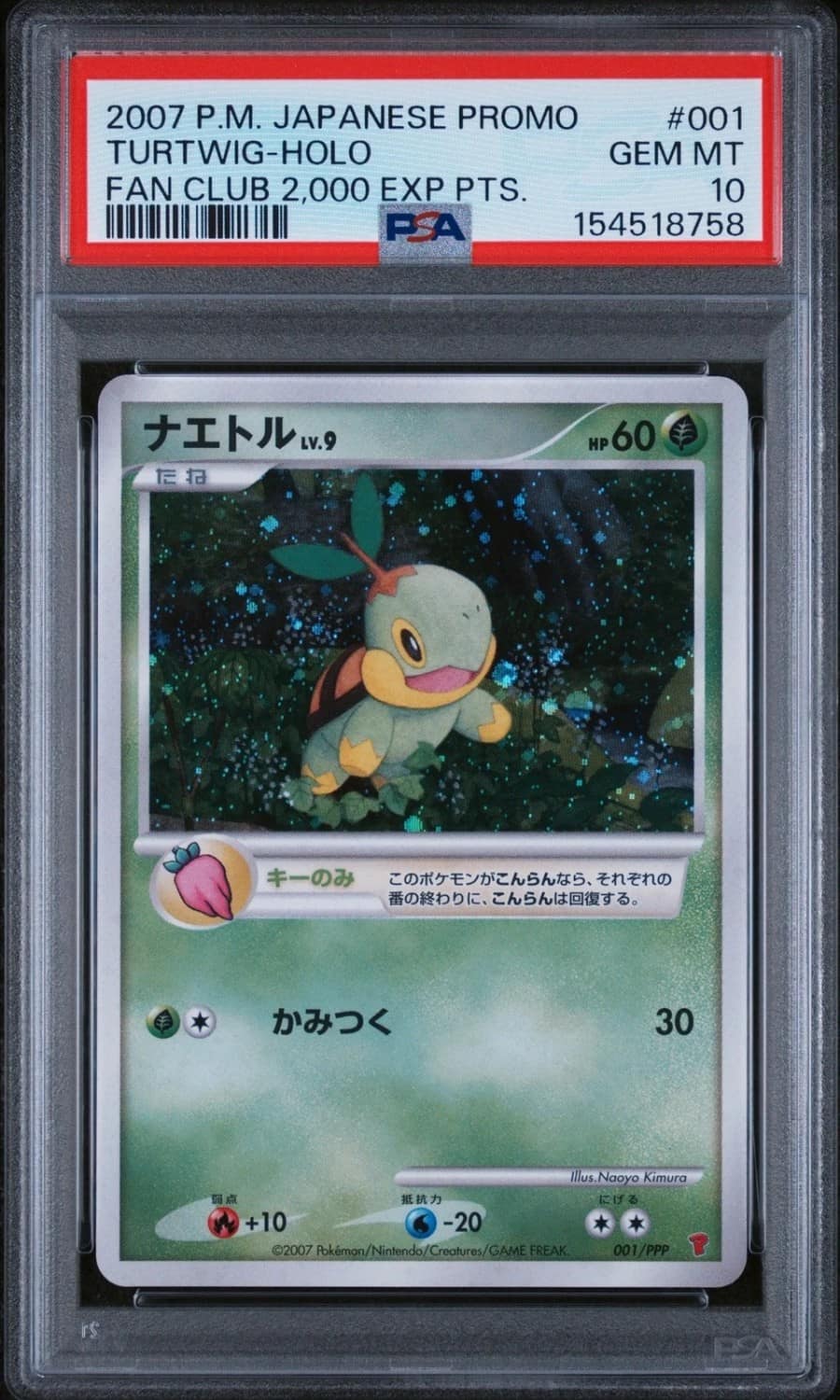Turtwig