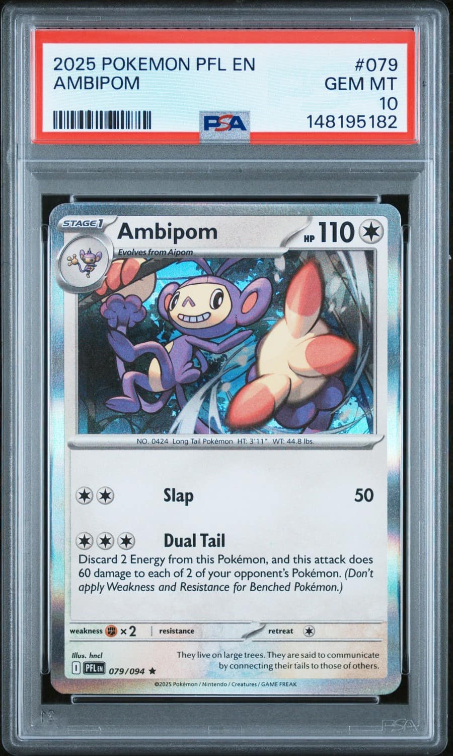 Ambipom