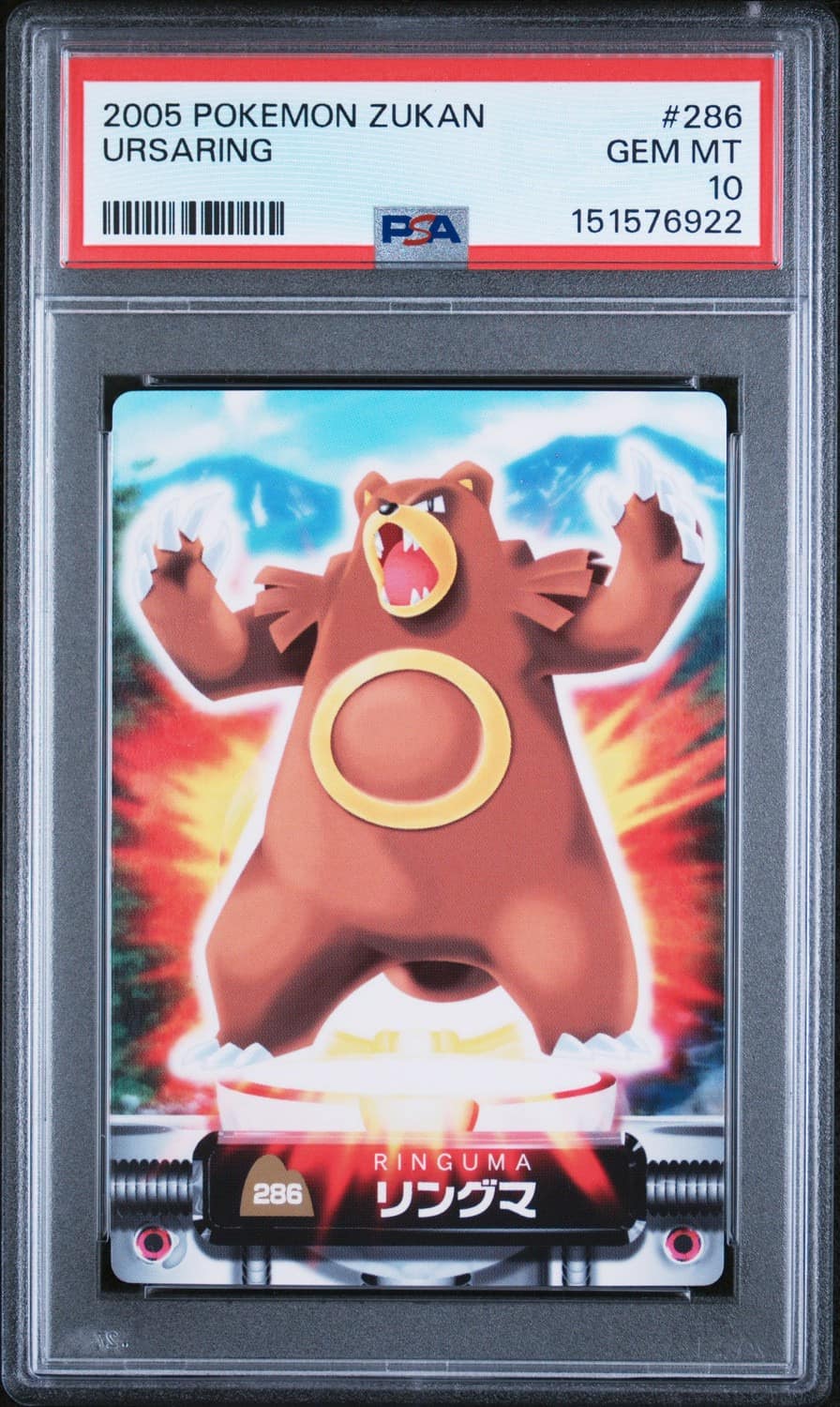 Ursaring