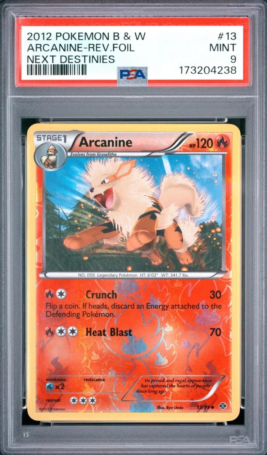 Arcanine