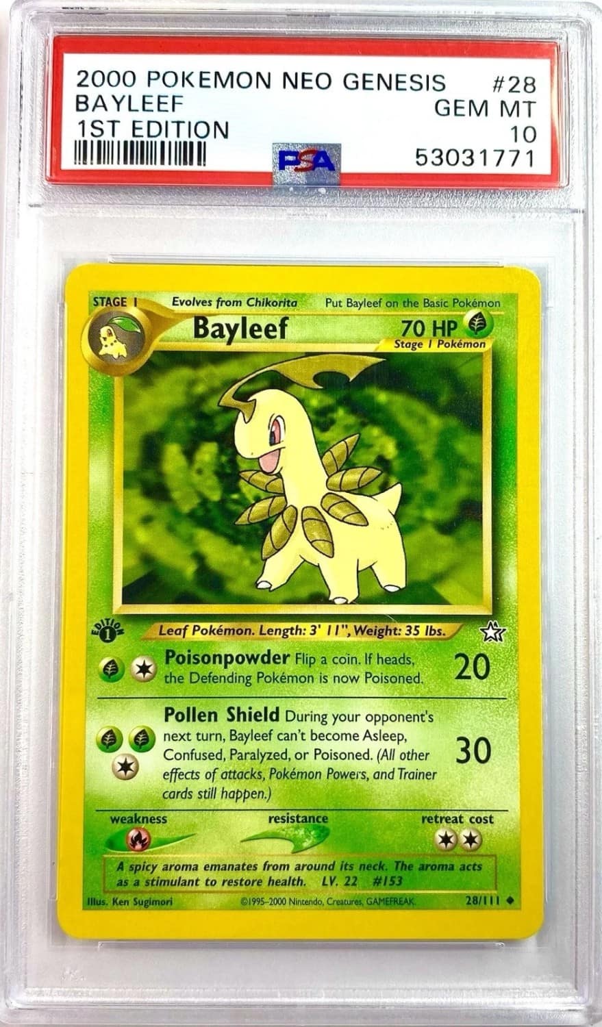 Bayleef