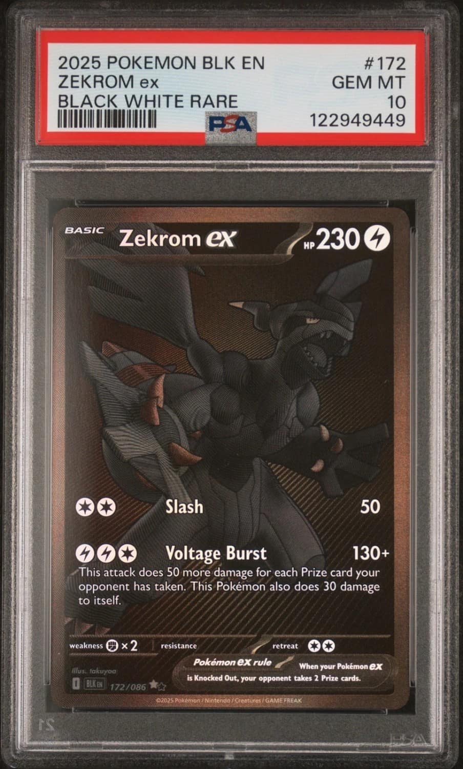 Zekrom Ex