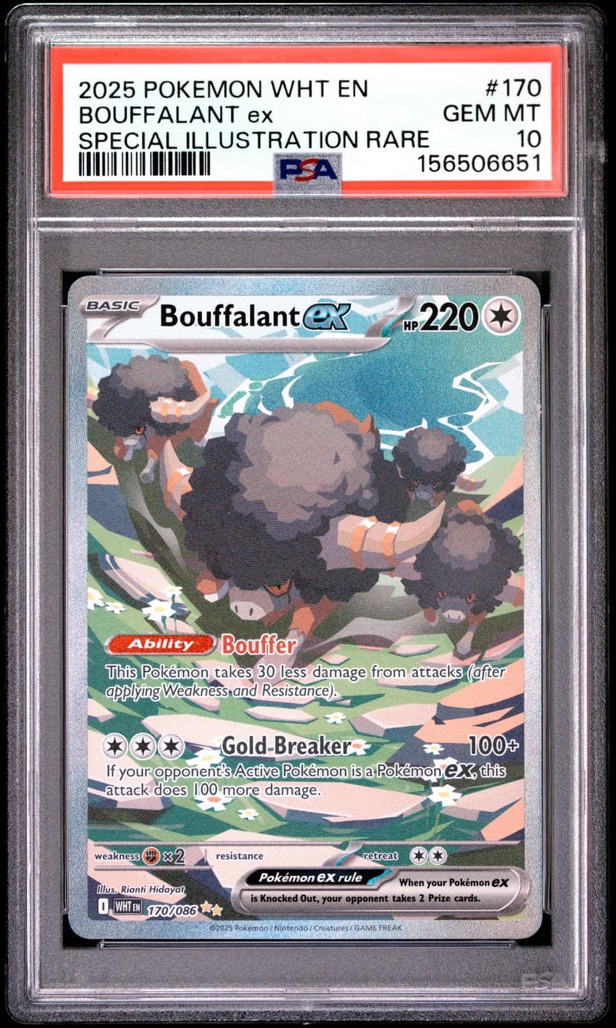 Bouffalant Ex