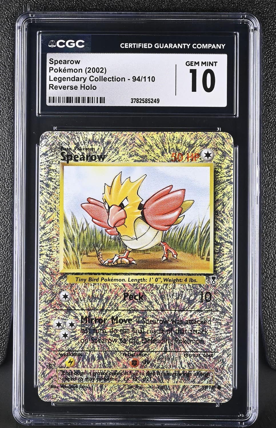Spearow