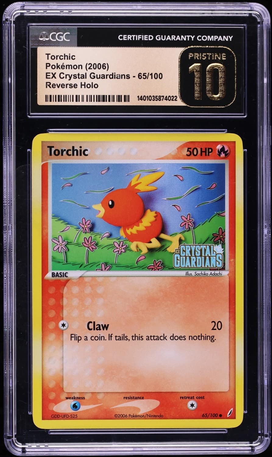 Torchic