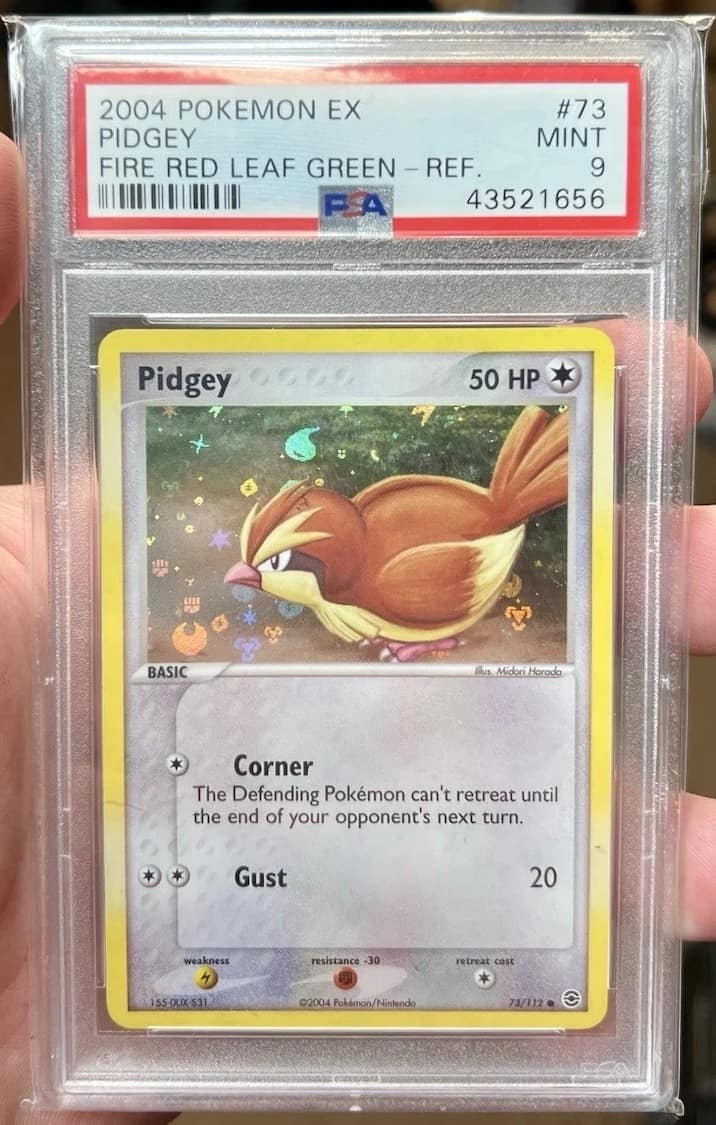 Pidgey