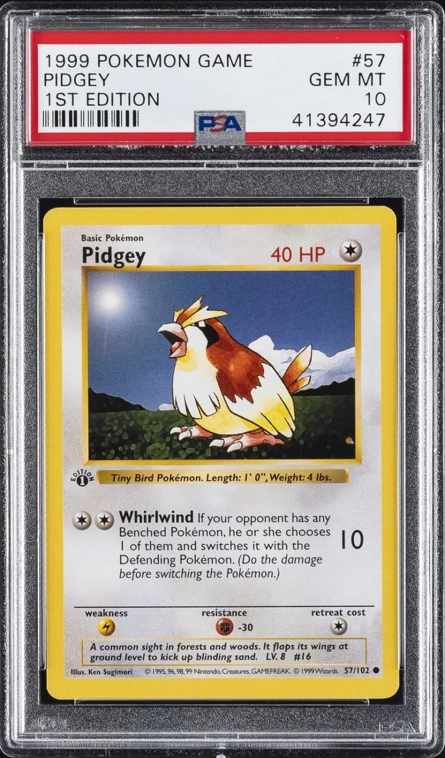 Pidgey