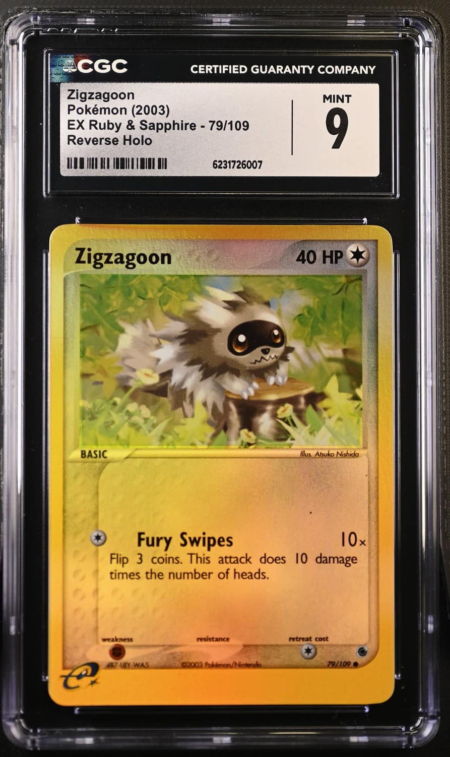 Zigzagoon