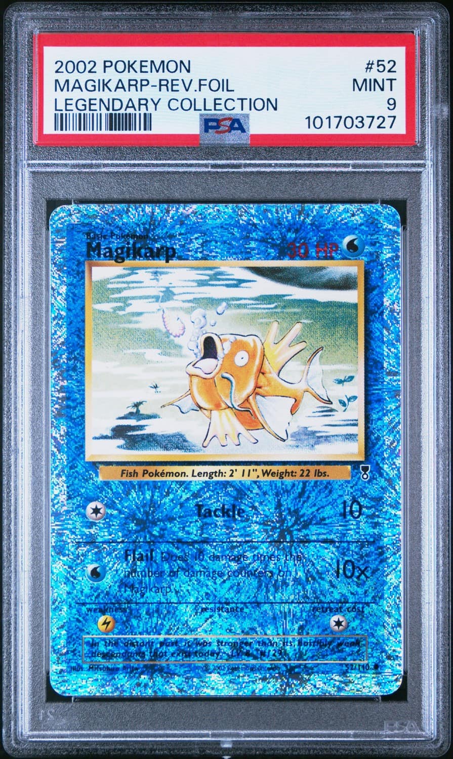 Magikarp