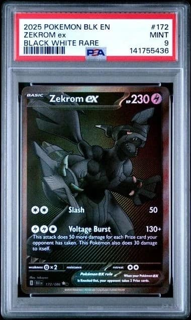 Zekrom Ex