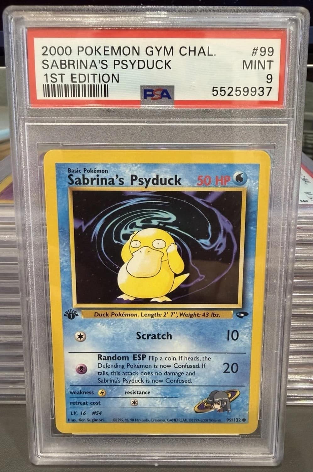 Sabrina'S Psyduck