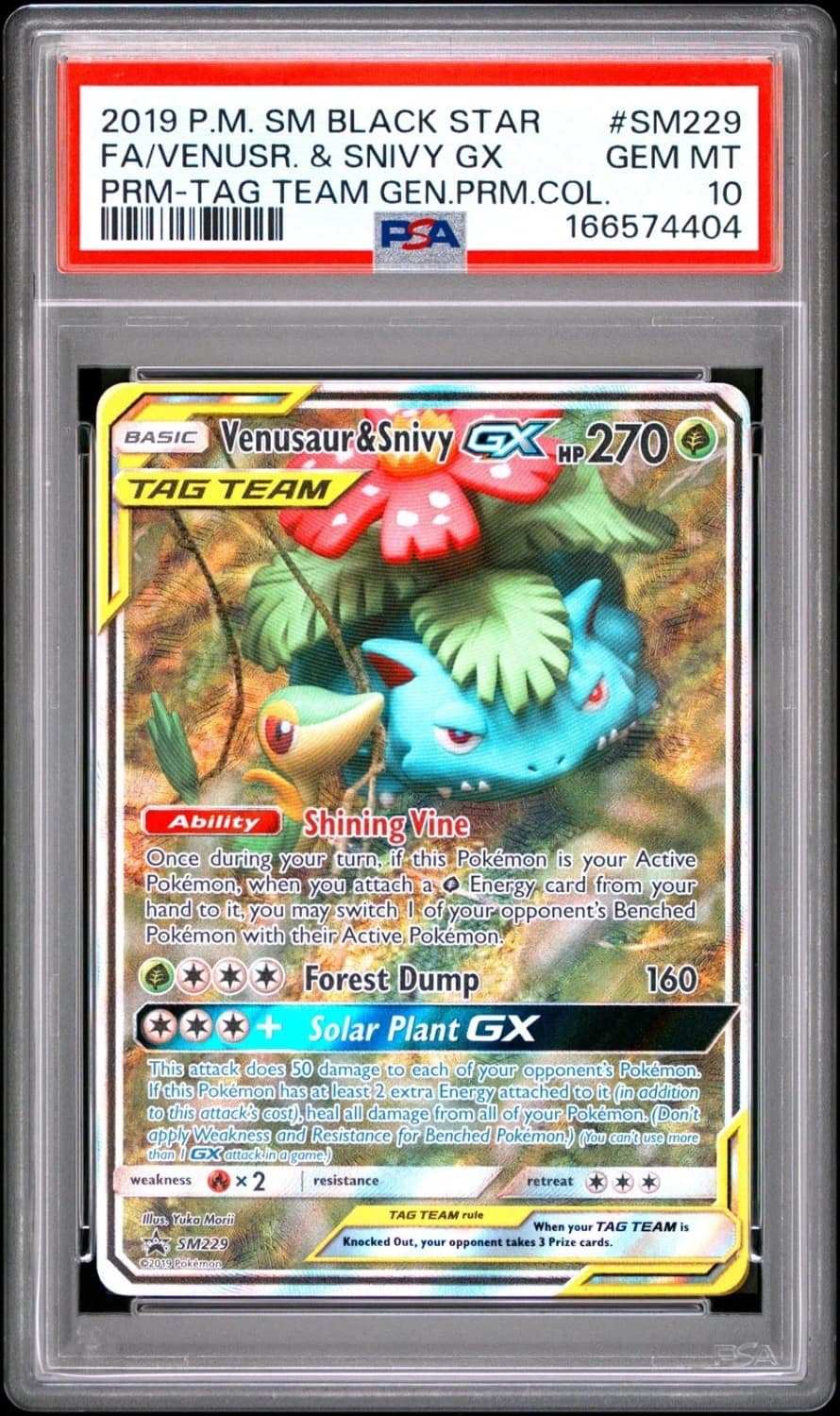 Venusaur & Snivy Gx
