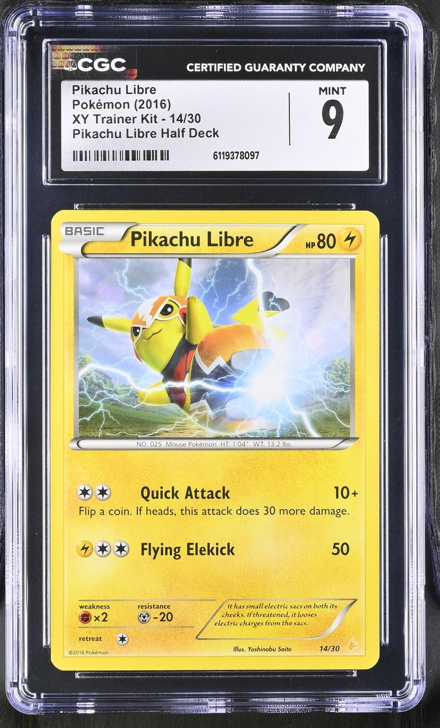 Pikachu Libre