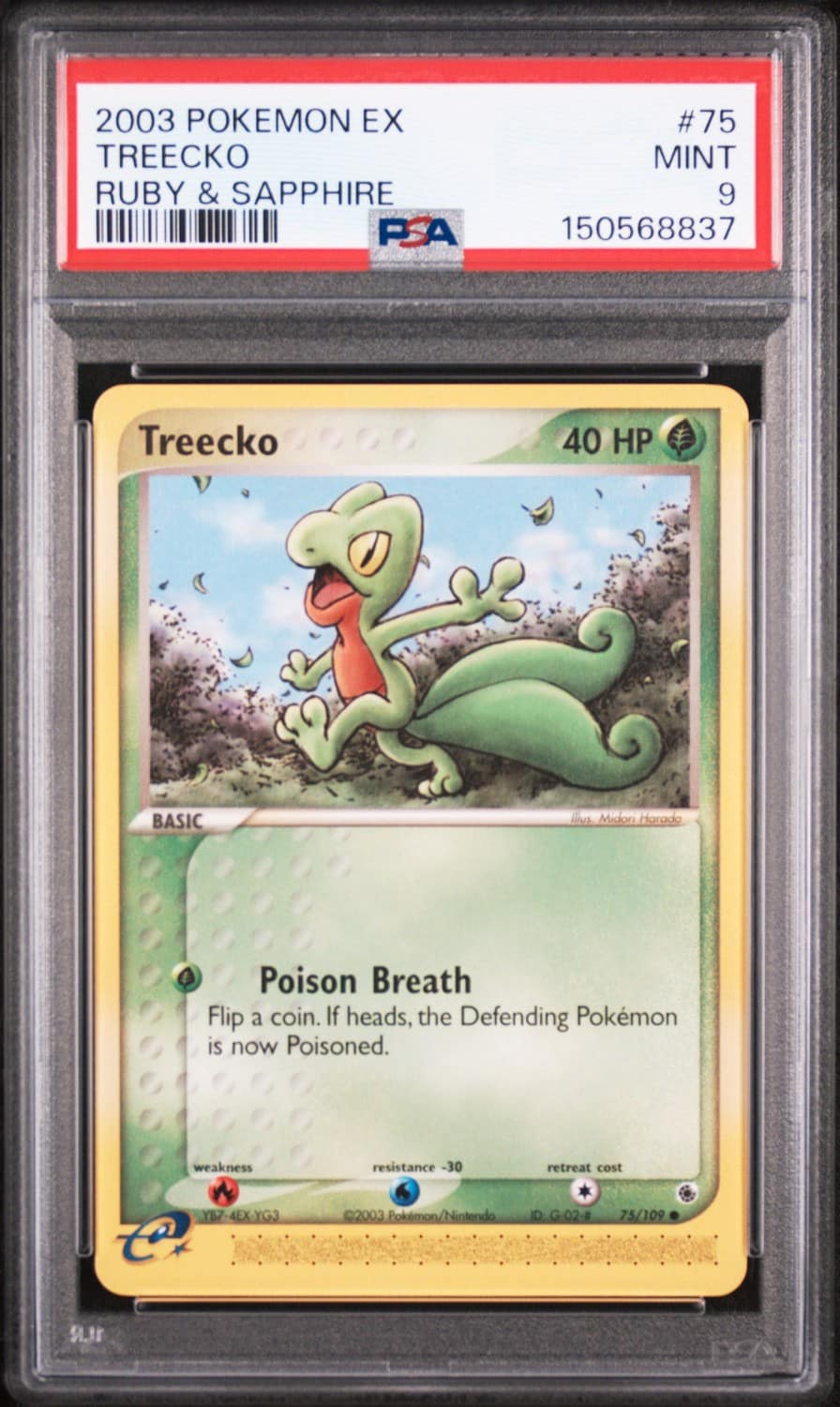 Treecko