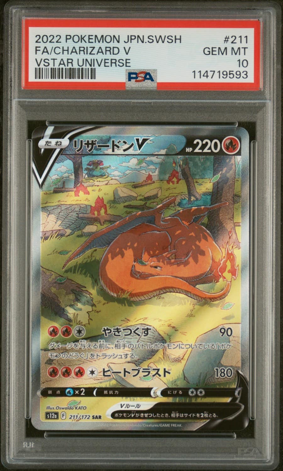 Charizard V