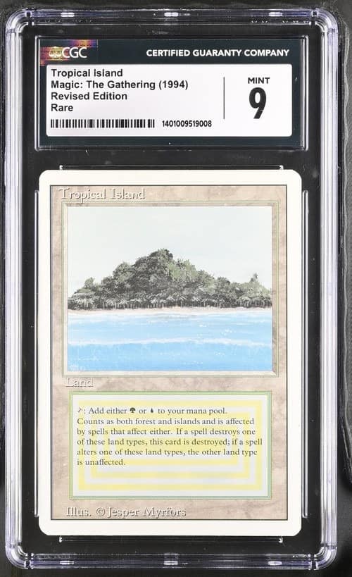 Tropical Island